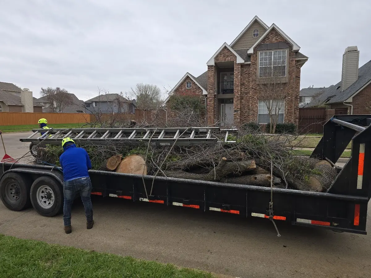 Expert Lot Clearing with proper safety equipment in Harleton